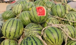 聊城大瓜爆料视频最新