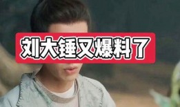 刘大锤之前爆料谁了啊视频,揭秘娱乐圈惊人内幕！
