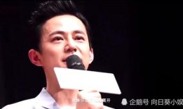 何炅网友爆料视频,揭秘背后真相