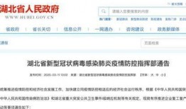 湖北媒体帮忙爆料案件最新,重大案件最新进展揭秘