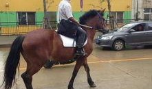 网红骑马爆料事件视频大全,视频大全揭秘幕后真相