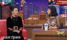 刘嘉玲金星秀视频在线观看,揭秘娱乐圈背后的故事
