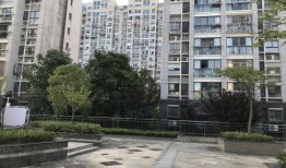 淮安新闻文华名城爆料,揭秘神秘项目背后的故事