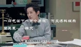 何炅爆料男孩视频全集,男孩视频全集背后的感人故事