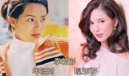 娱乐圈大爆料贴纸是什么,贴纸揭露明星幕后真相