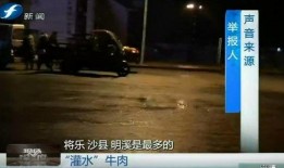 爆料牛的视频大全,热门事件幕后真相大曝光