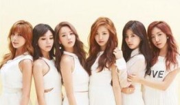 过气韩女团综艺爆料视频,综艺爆料视频曝光惊人内幕