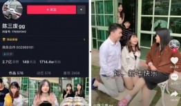 韶关网红爆料视频,这座城市的隐藏魅力