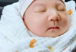 林生斌18号爆料视频,事件背后惊人真相