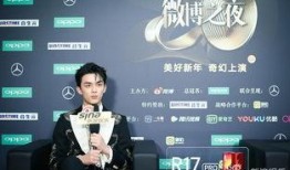 新浪员工爆料吴磊视频,新浪员工爆料背后的真相揭晓