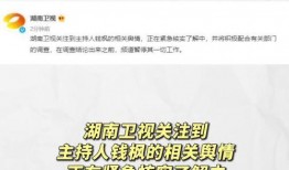 娱乐吃瓜免费观看网站,揭秘免费观看娱乐吃瓜网站的奥秘