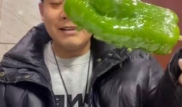晨曦网红吃瓜链接视频,揭秘娱乐圈幕后真相