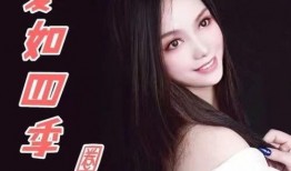 圈儿在线观看,揭秘网络社交圈的奥秘与挑战