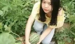落梦楠娱乐吃瓜,揭秘娱乐圈最新吃瓜事件