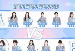 王先生果粒爸爸爆料最新,揭秘明星家庭幕后故事