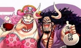 国风路飞爆料视频合集,揭秘动漫背后的精彩故事