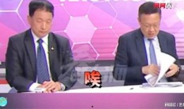 台湾名嘴私下爆料视频,揭秘政坛幕后真相