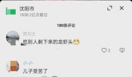 刘能邻居爆料录音视频,揭秘事件背后惊人真相