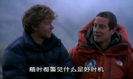 贝爷被爆料视频大全下载,揭秘野外生存背后的惊险瞬间