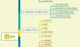 侦探汤姆大爆料视频全集,揭秘视频全集背后的惊人真相