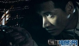 电影遍地狼烟在线观看,烽火岁月里的生死较量