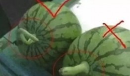 网红的吃瓜网站有哪些名字,盘点那些热门的八卦聚集地